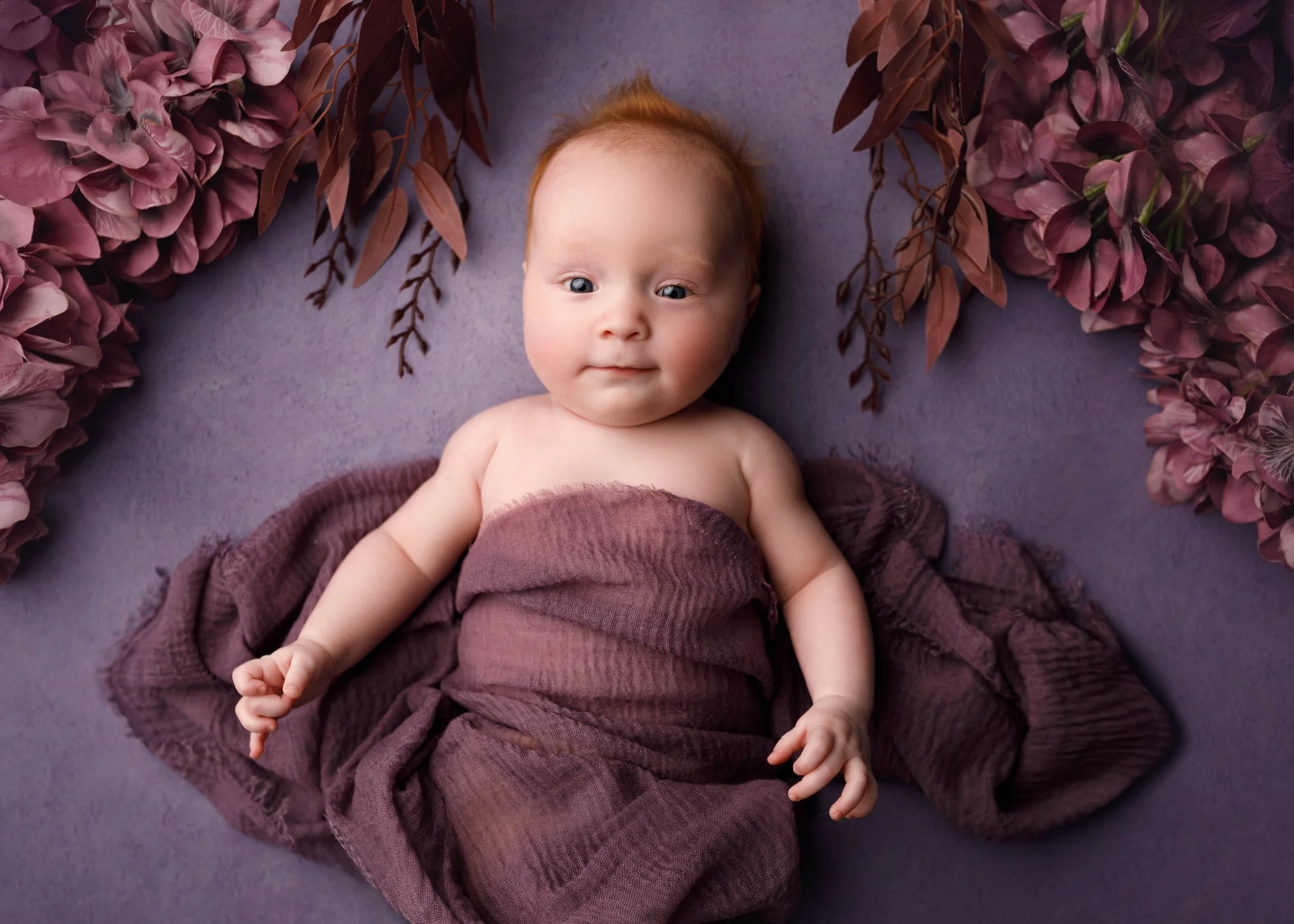 Purple older baby.jpg