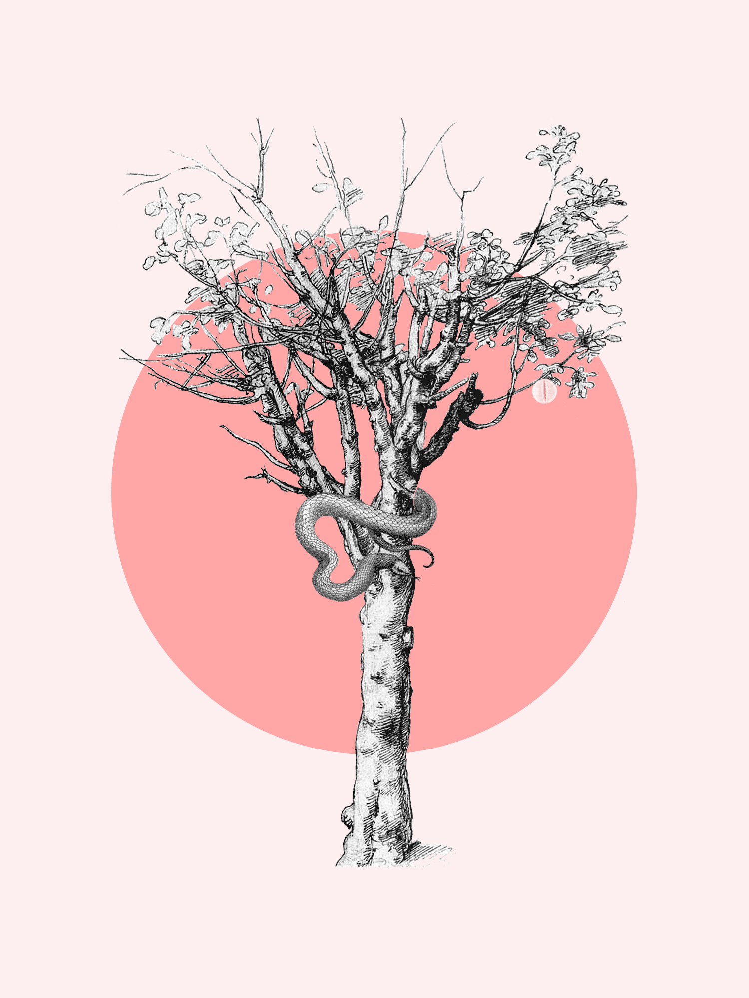 inset-2.gif