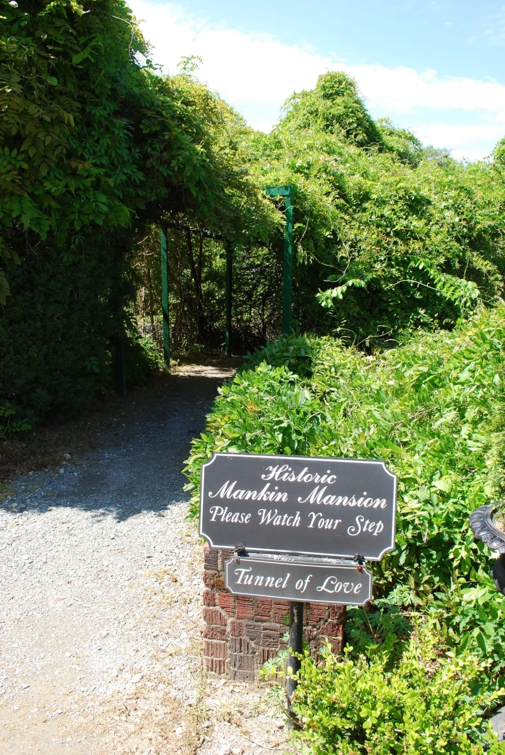 DSC_0828.jpg