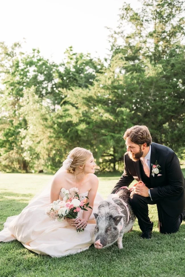 Bride and groom with their flower girl who is a pet pig.