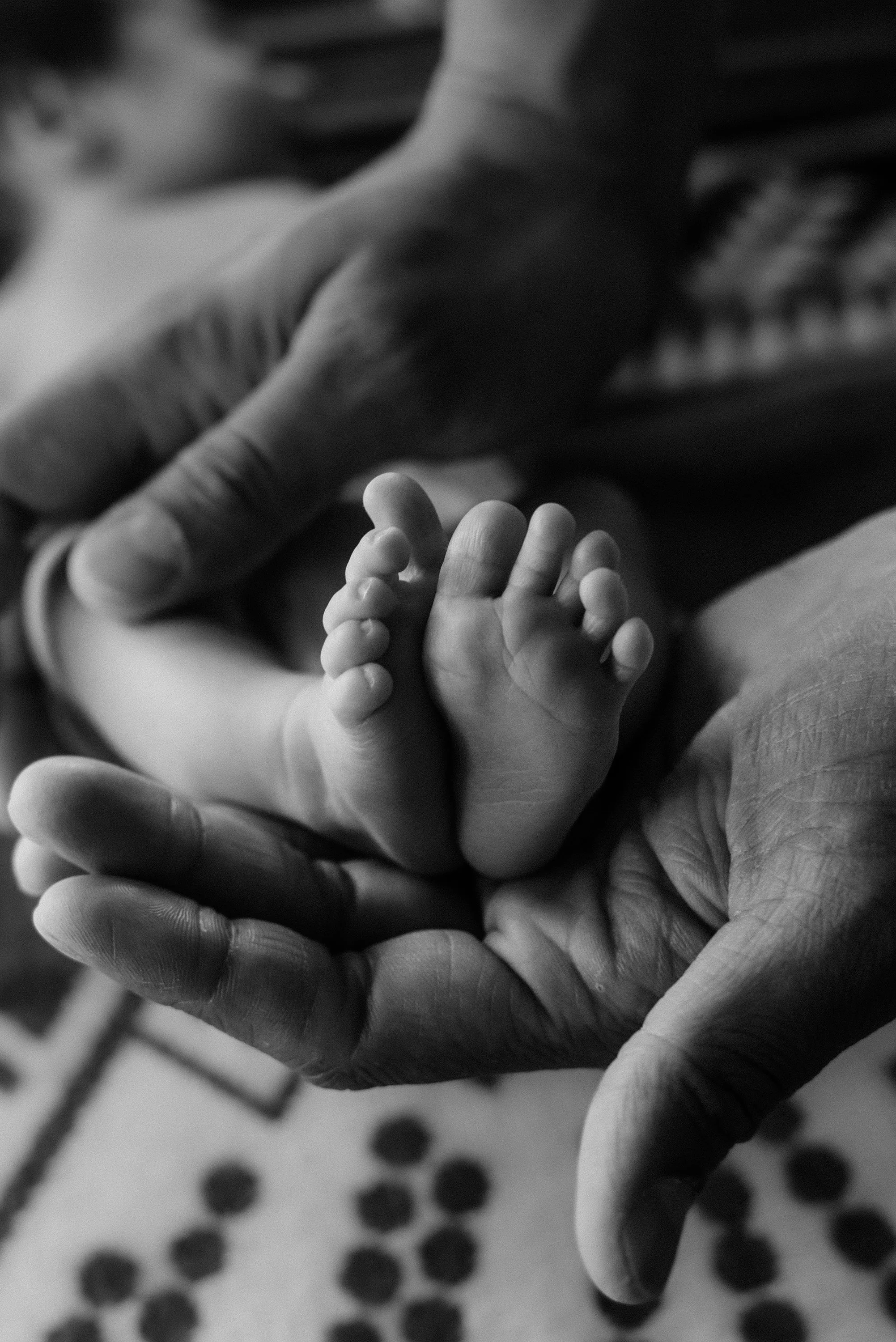babyHUDSON_newborn_KFP'24_14.jpg