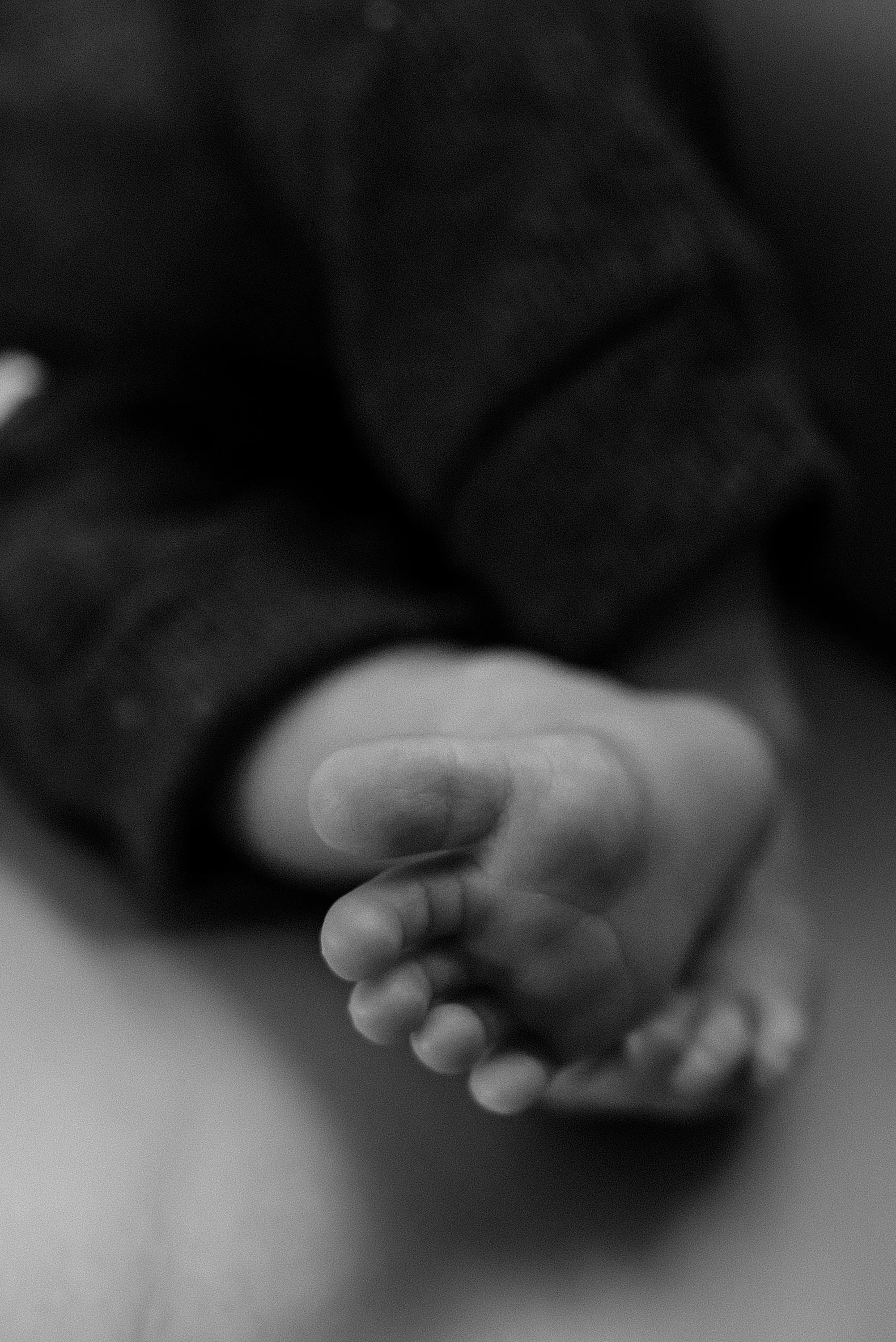 babyHUDSON_newborn_KFP'24_168.jpg