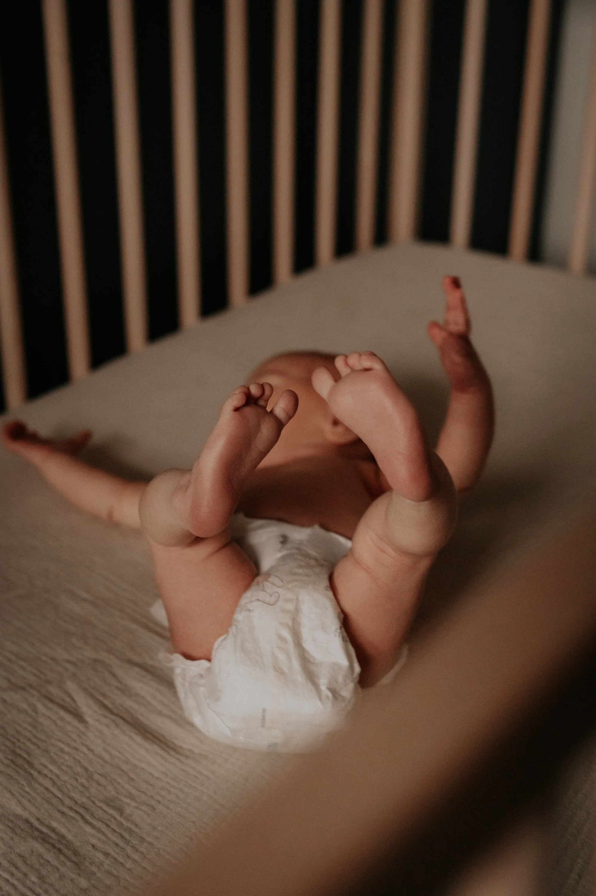 MARGO_newborn__KFP'23_003.jpg