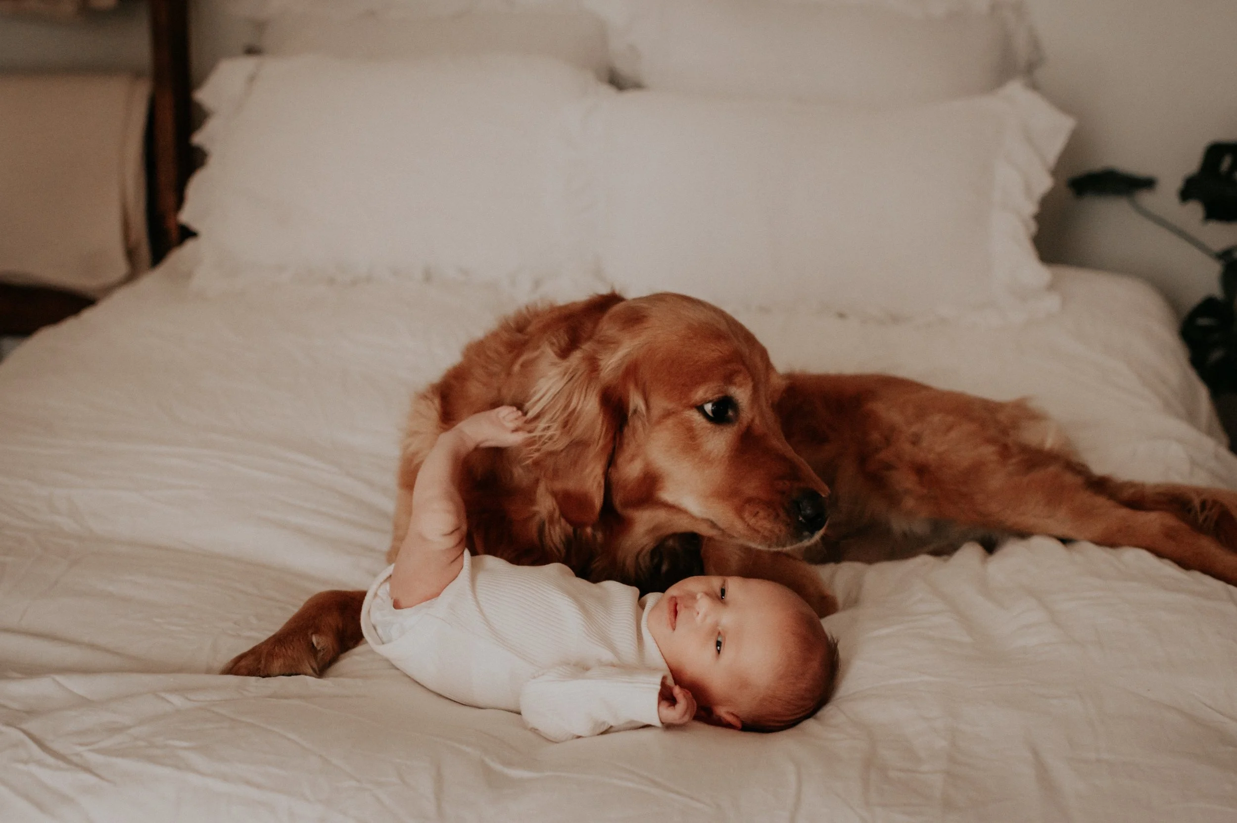MARGO_newborn__KFP'23_136.jpg