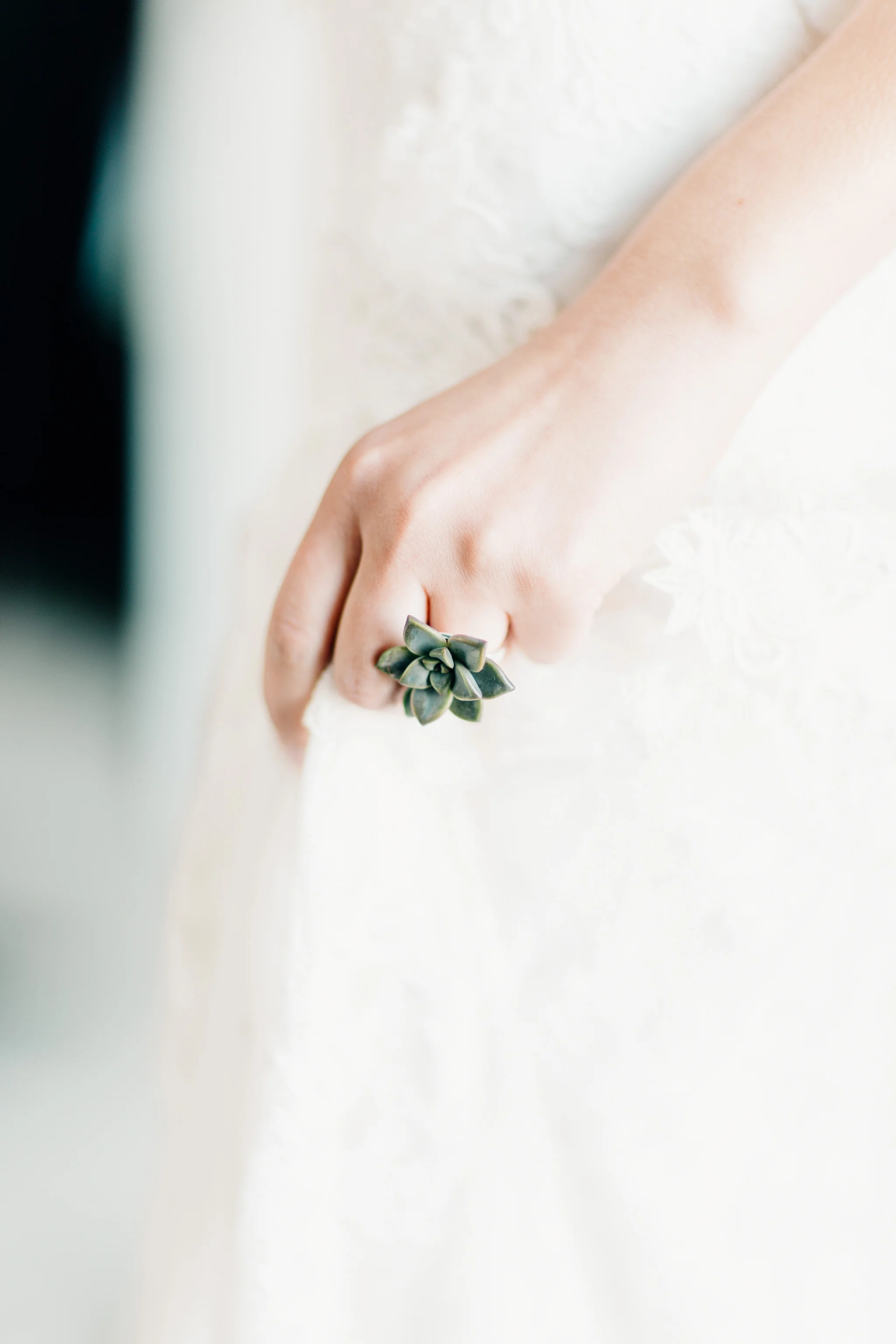 Photo by Addison Jones Photography