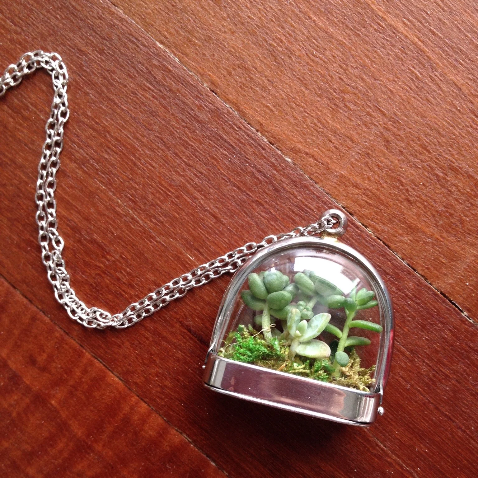 Photo by Rachel Joy Barehl