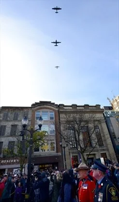 fly.jpg
