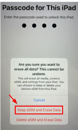  if prompted, tap Keep eSIM and Erase Data 