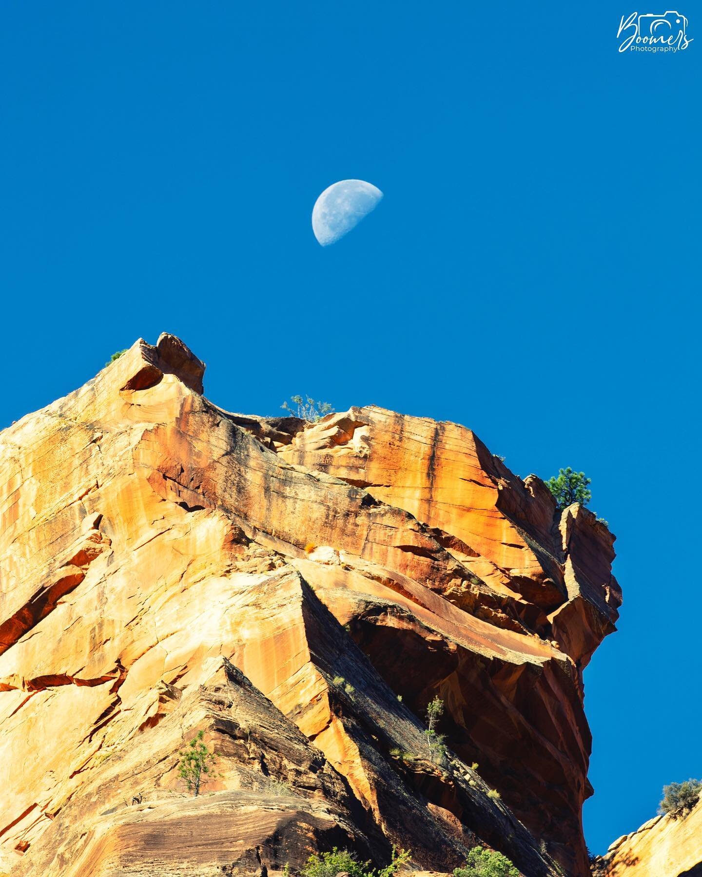 Took this shot a couple weeks ago on a trip through @zionnps It&rsquo;s a pretty incredible place. Red rock mountains that just come out of no where. I looked up and saw the moon out mid day over this tower and had to stop for a quick photo.
