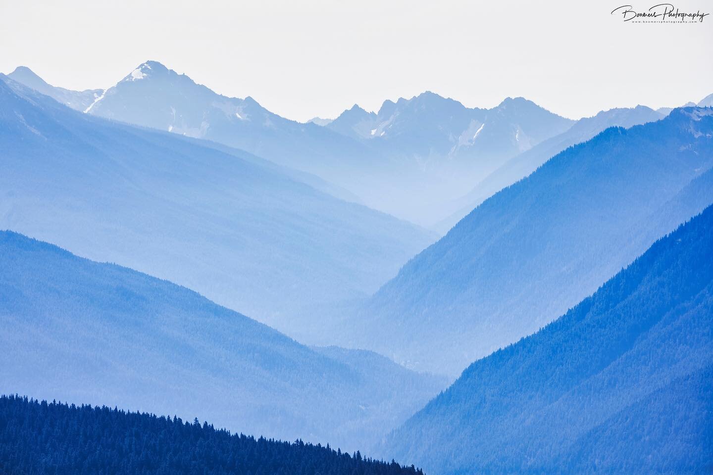Exploring #washingtonstate
I took this shot at @hurricaneridge in @olympicnationalpark yesterday. Love the way the lines of the mountains come together.