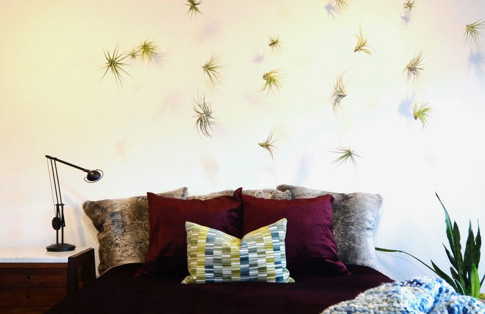 Cropped PurpleBed3.jpg