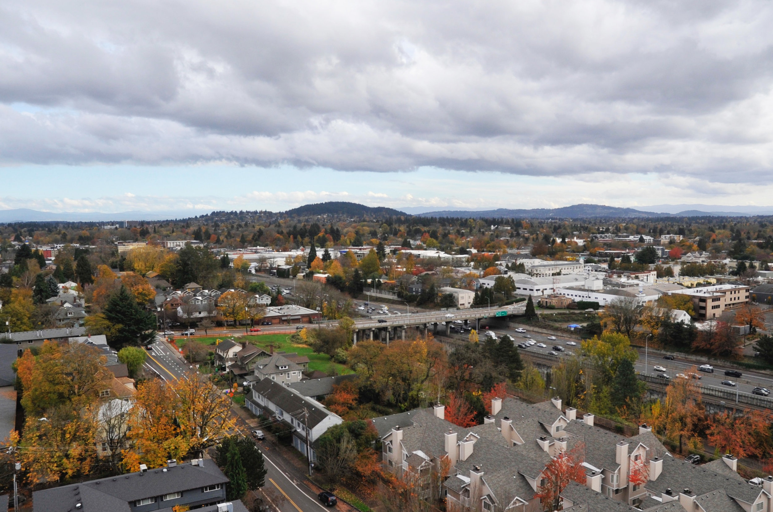 Street trees serve as a buffer between our transportation corridors and our homes, making the city more liveable.