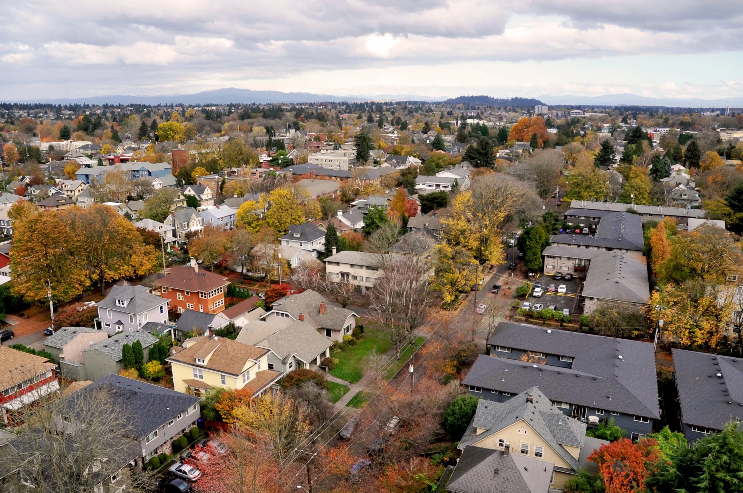 Green Infrastructure: Street trees provide multiple benefits such as cleaner air and water, cooler summer temperatures, safer streets, and increased property values.