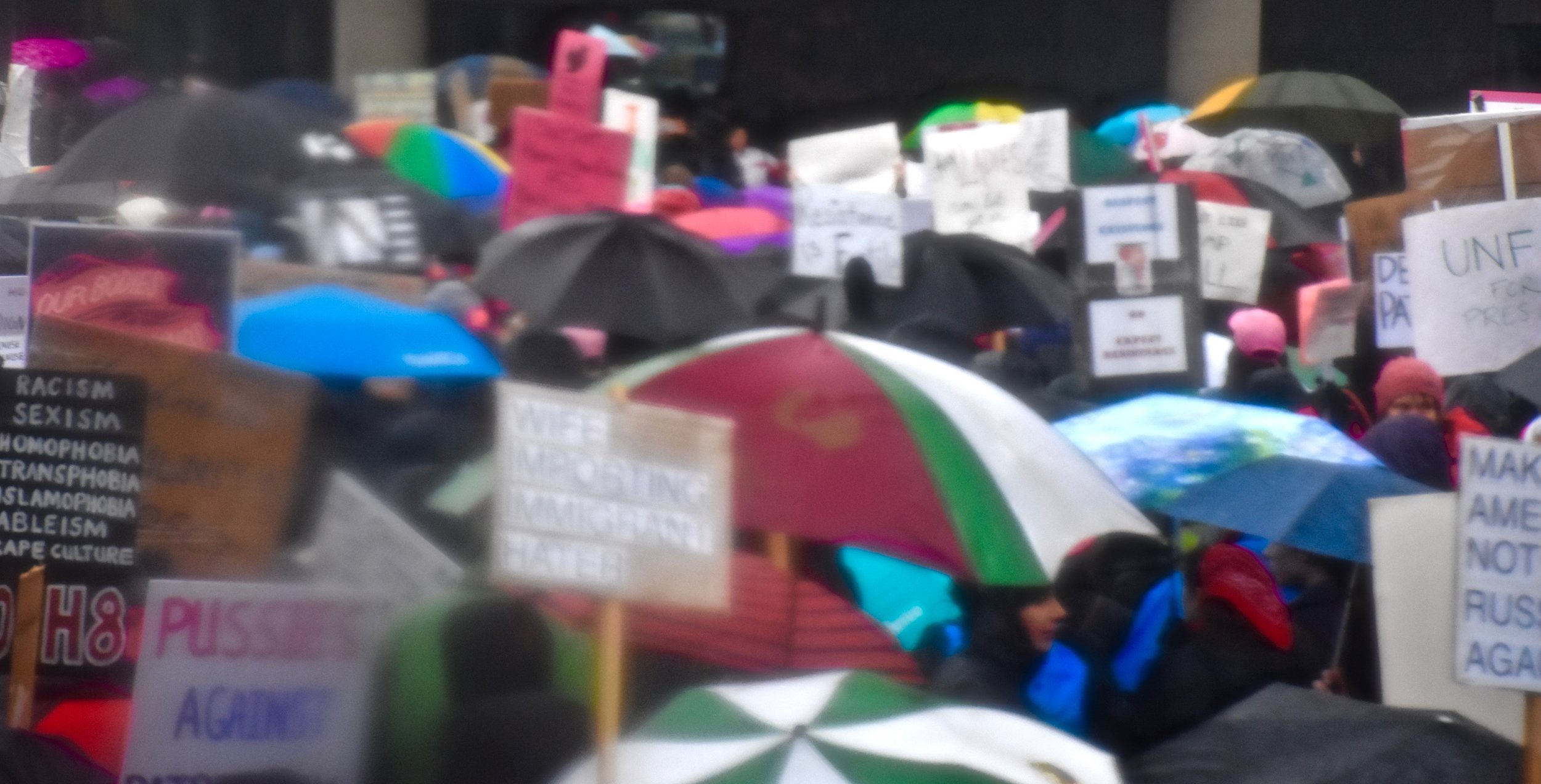 Portland Women's March, 2017. Photo courtesy of Meg Vogt.