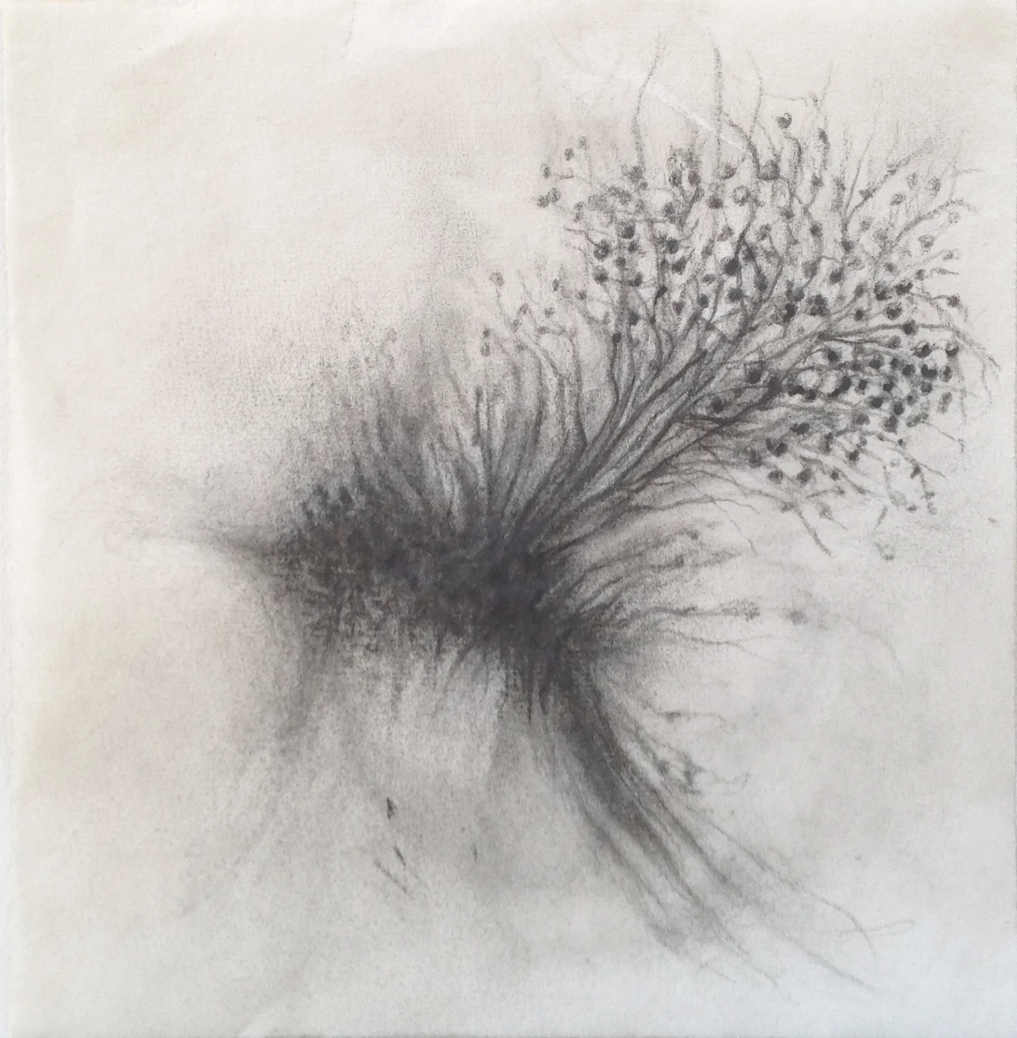 UNTITLED 2015, 7 x 6 inches © 2016, Michael Kirk all rights reserved