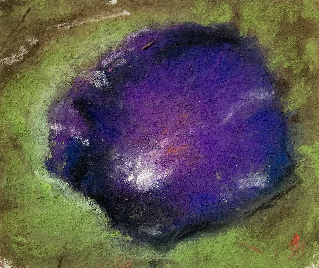 THE GARDEN 6/15, morning glory 2021, 4.25 x 5 inches © 2021, Michael Kirk all rights reserved 