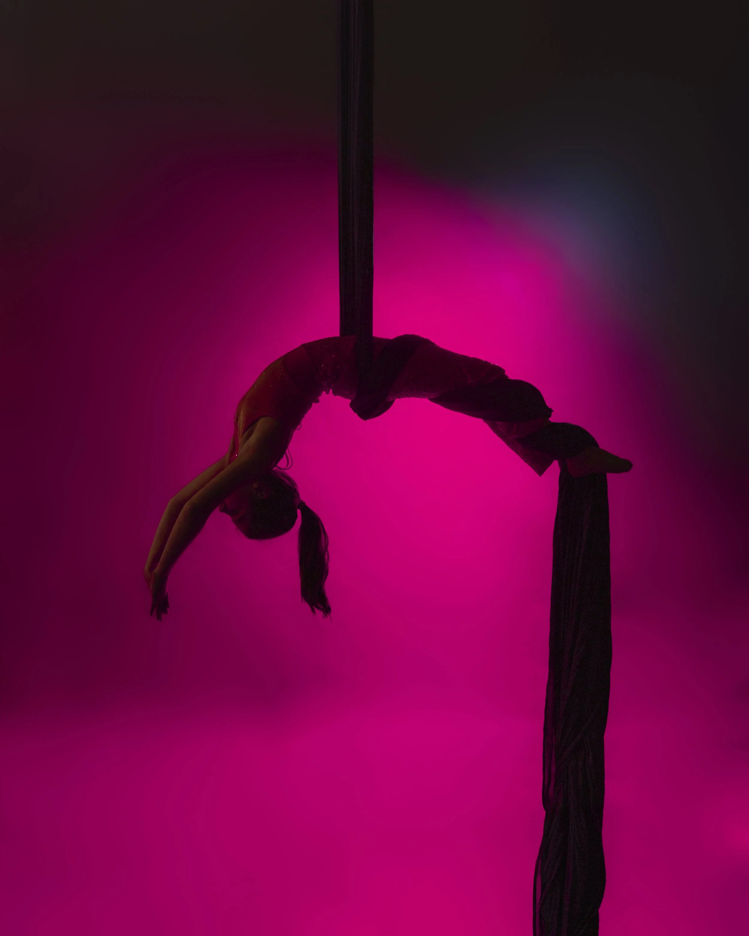 2026-02-22 Aerial Arts7396-Edit-Edit.jpg