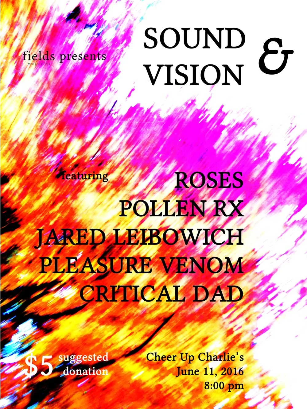 fields presents Sound & Vision: a fundraiser show