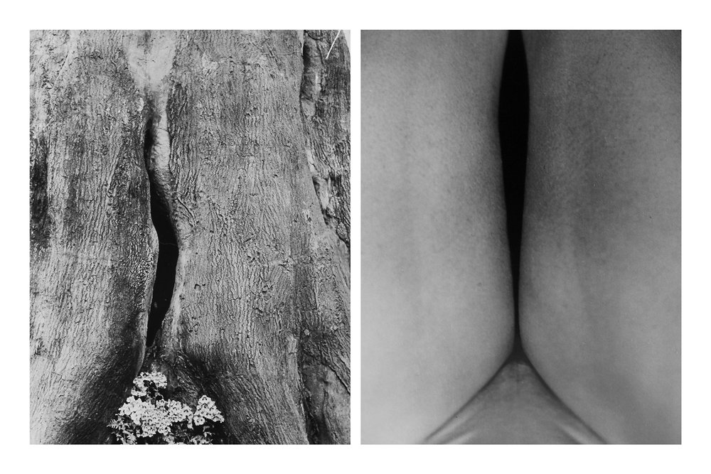 Nature Nurture Figure Four (2018)