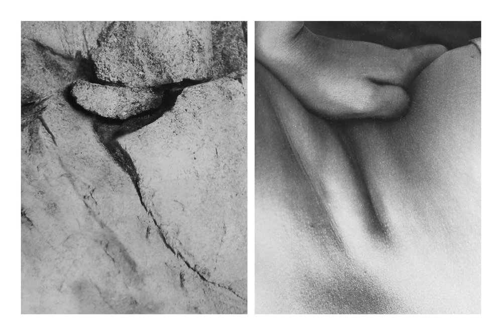 Nature Nurture Figure Three (2018)