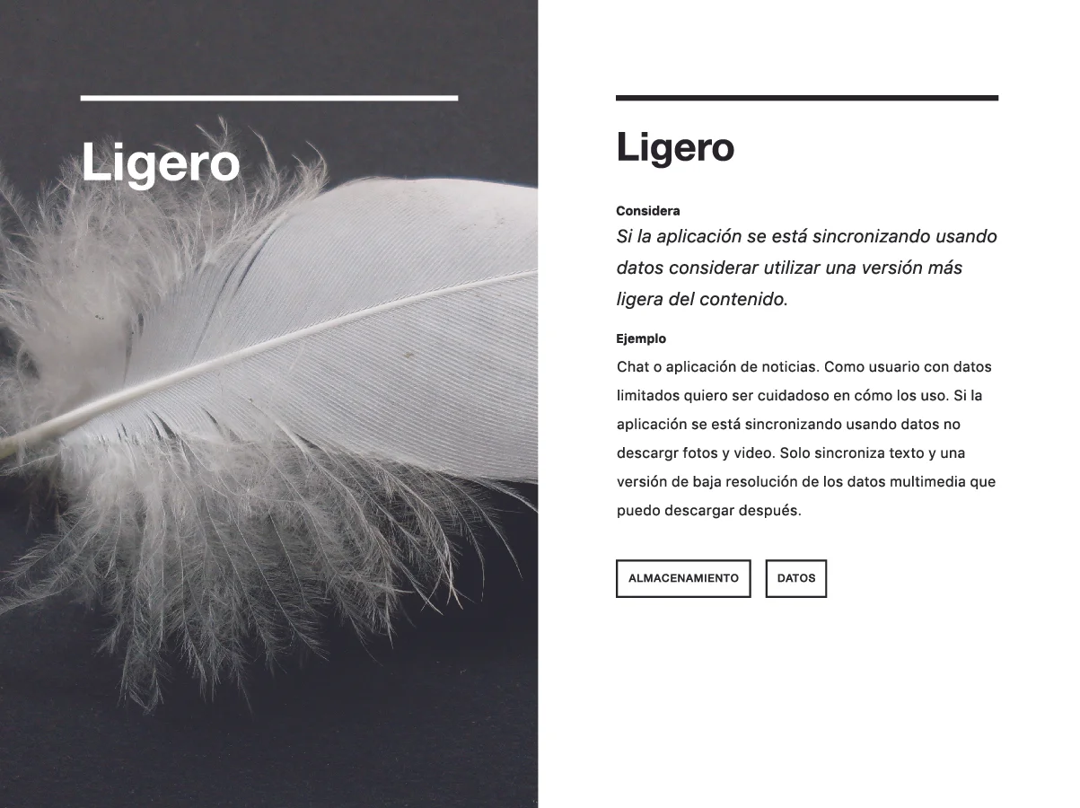12-ligero.jpg