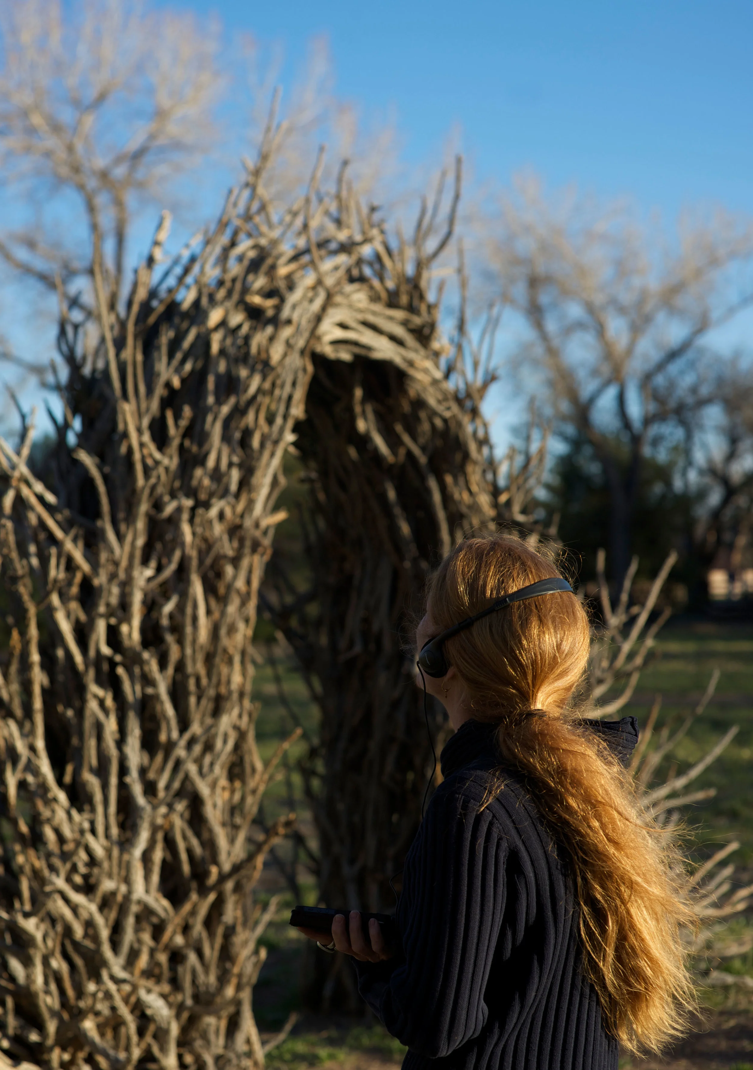 Untitled_Panorama1.jpg