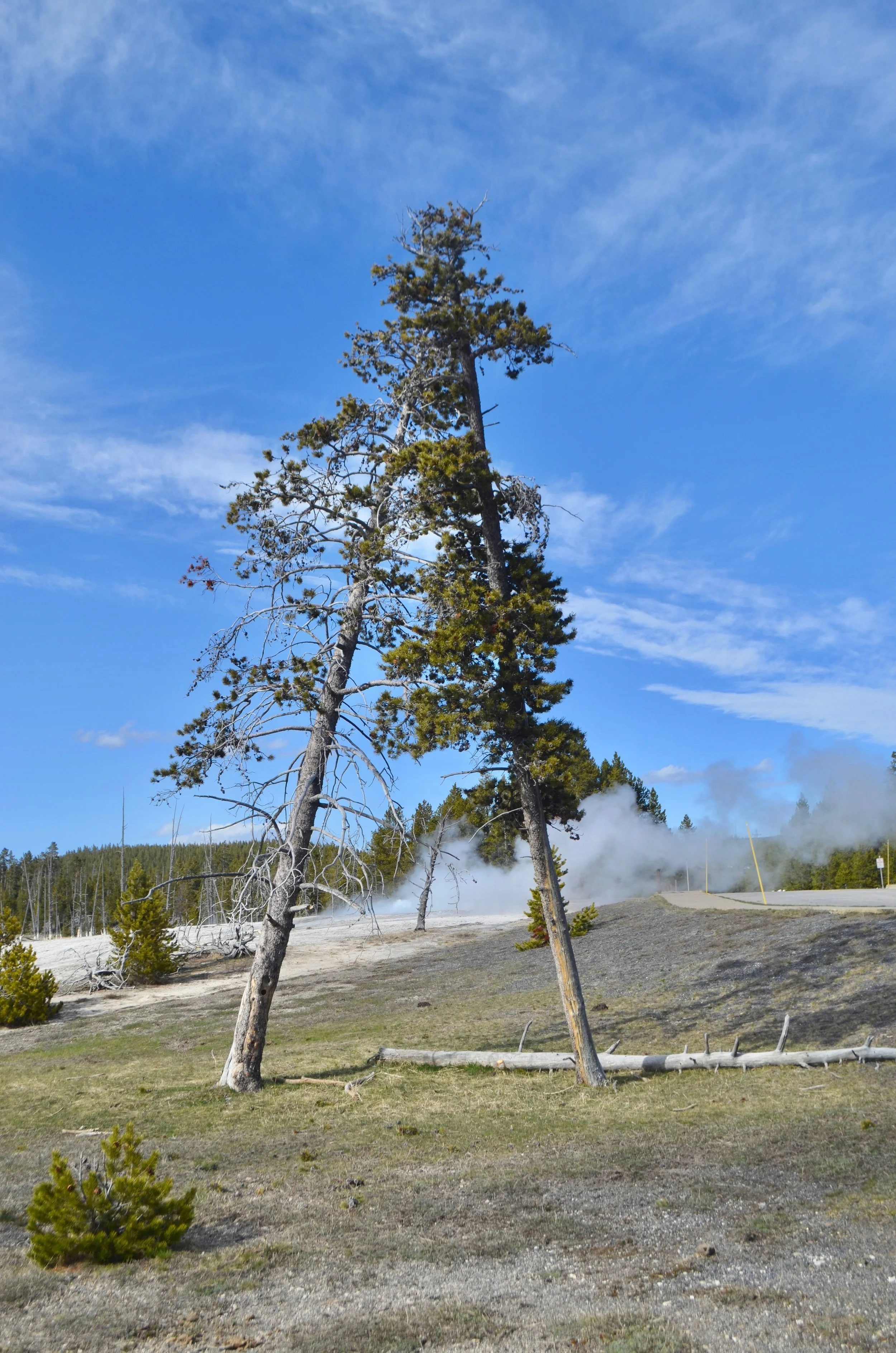 DSC_0728 2.jpg