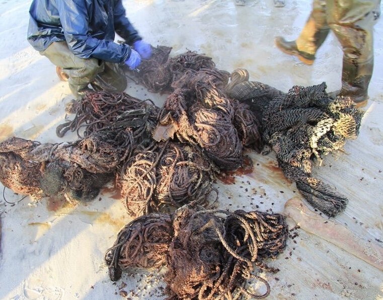 In the 1940s, DuPont and other plastic companies pushed for and began to replace hemp as the principal material for rope. Unfortunately nylon, unlike hemp, does not easily decompose, and its abundance, along with other plastics in the ocean, is very