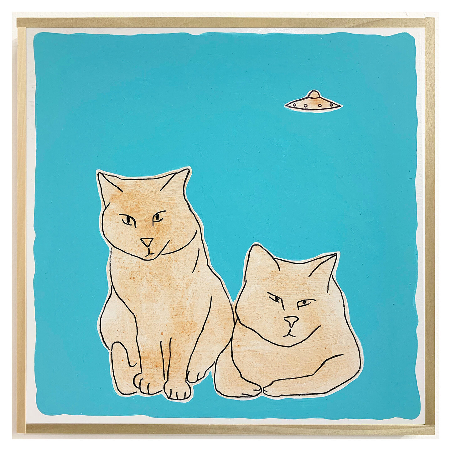 Two Cats, One UFO, 2019