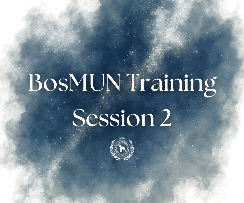 BosMUN Training Session 2