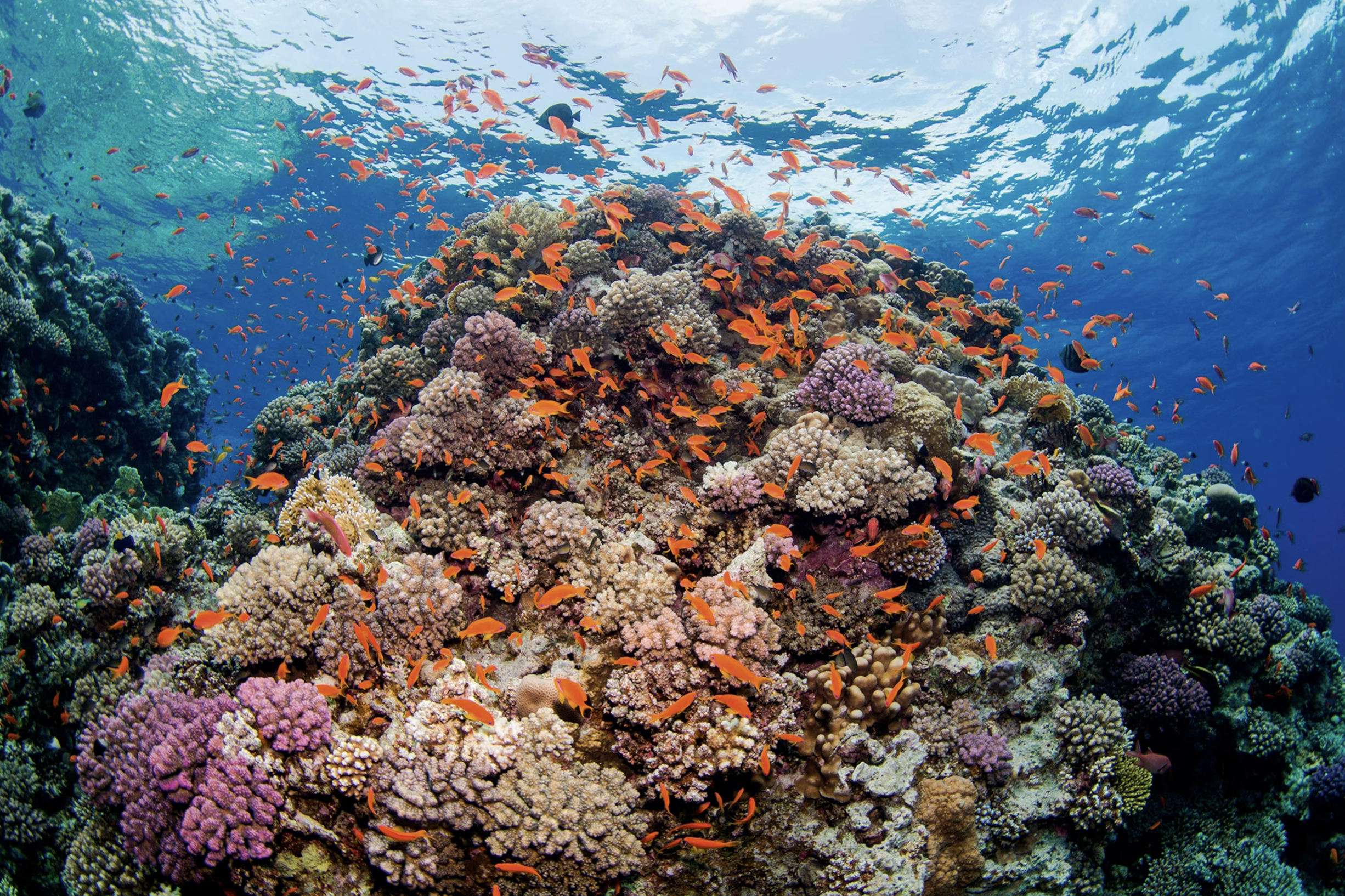 Screenshot 2026-04-25 at 22.52.57.png