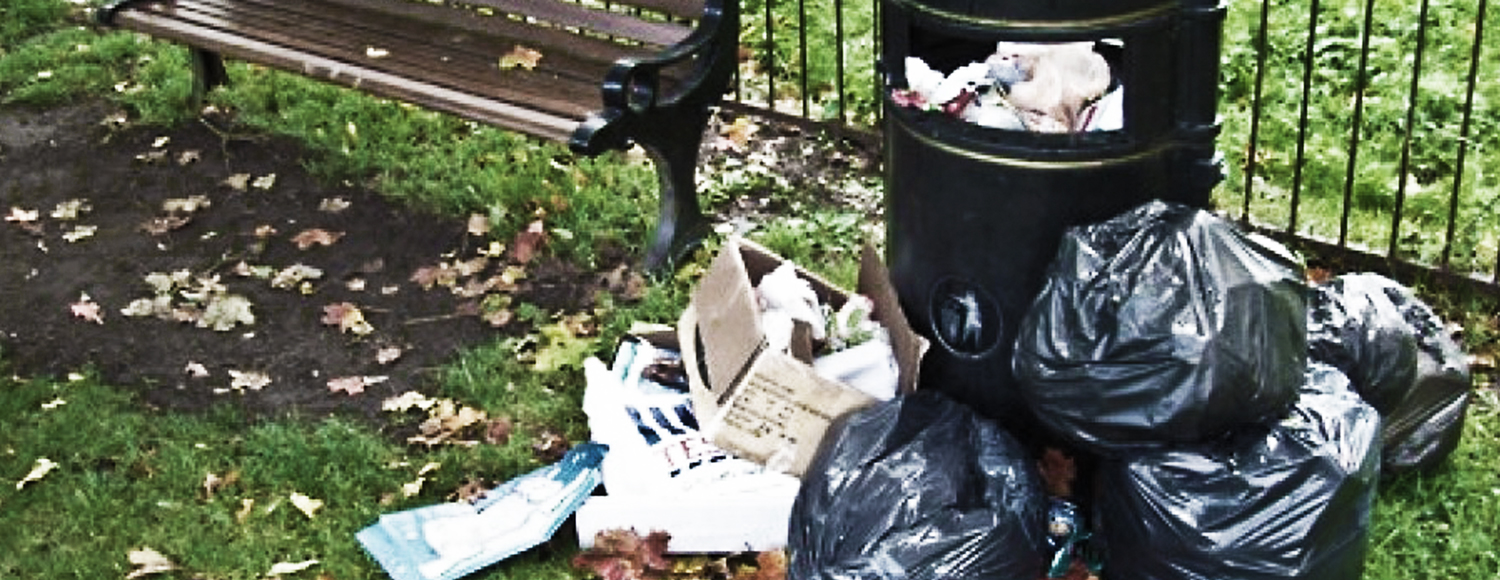 cropped-rubbish2.jpg