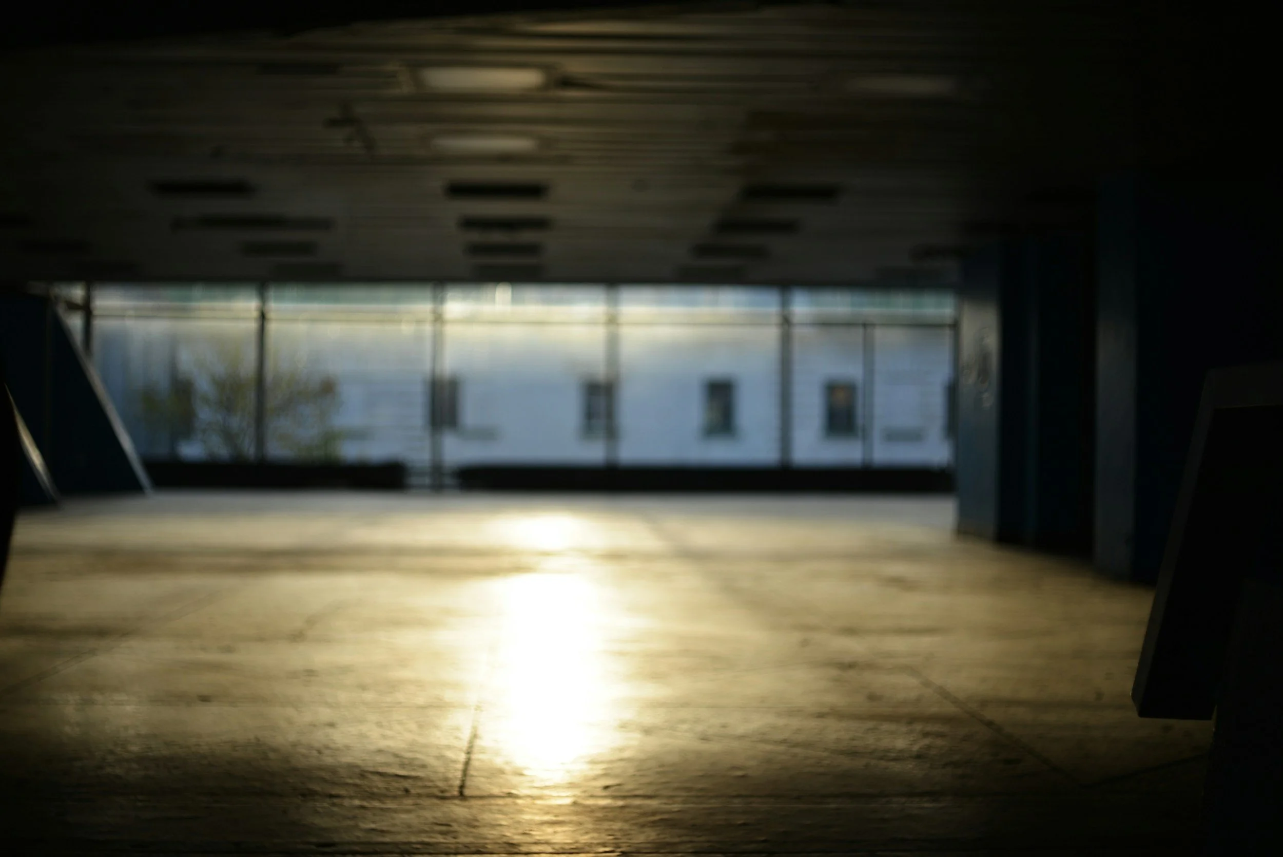 garage empty after junk is hauled away