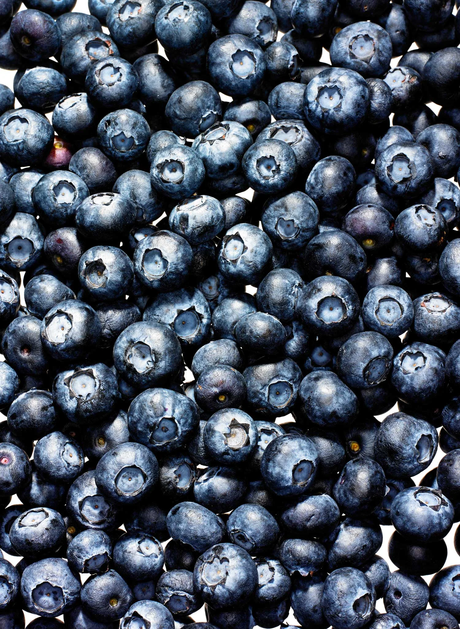 Blueberries2.jpg