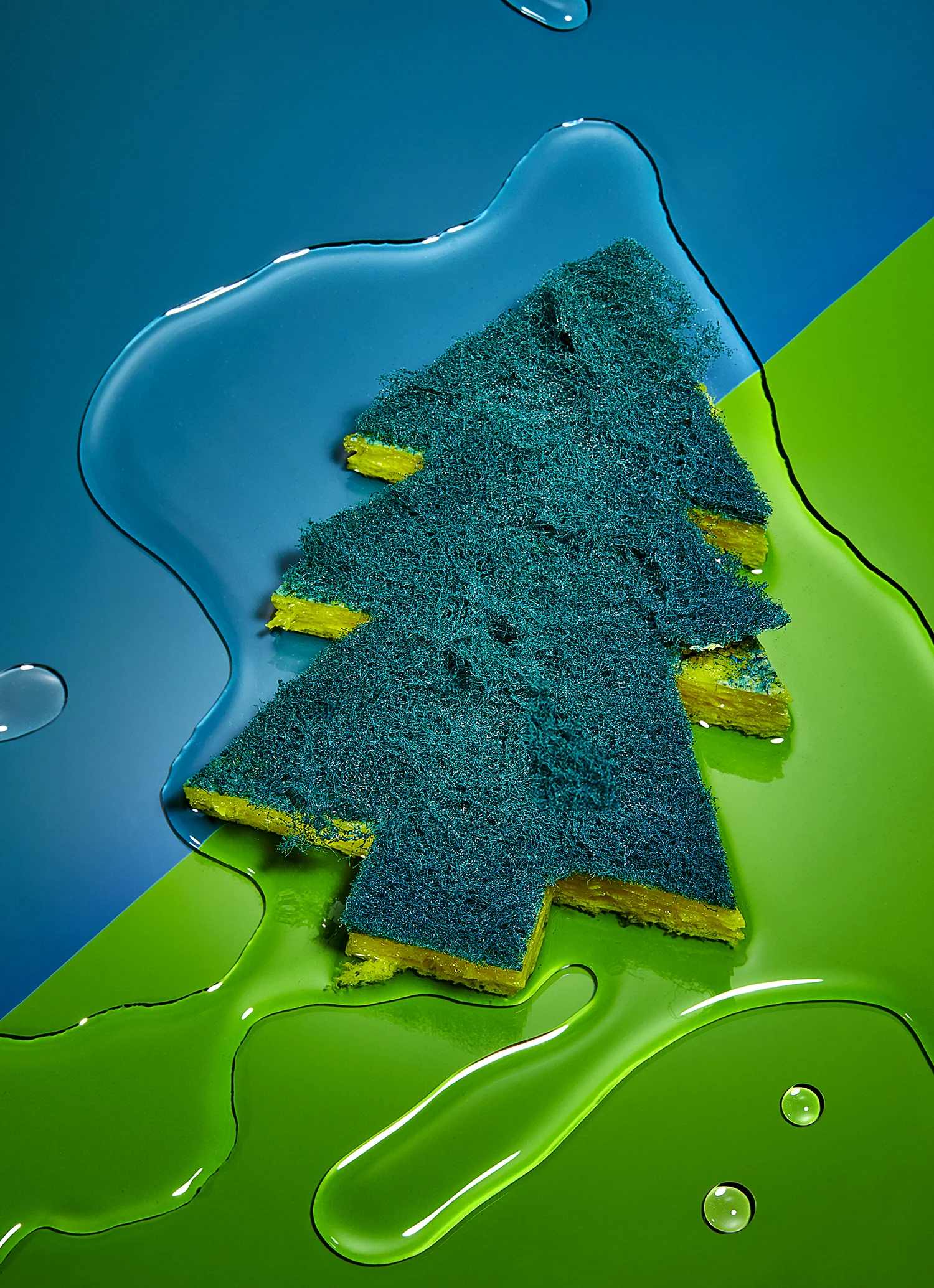 LIF0119-0925183652C.jpg