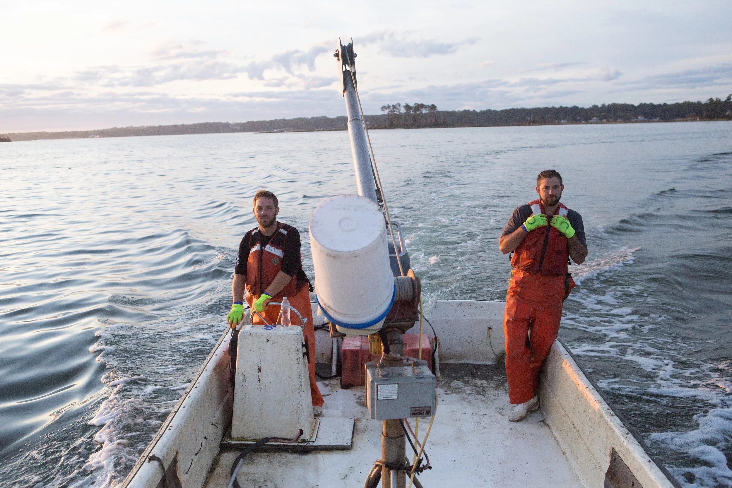 Rapphannock's oyster men start work before daybreak.