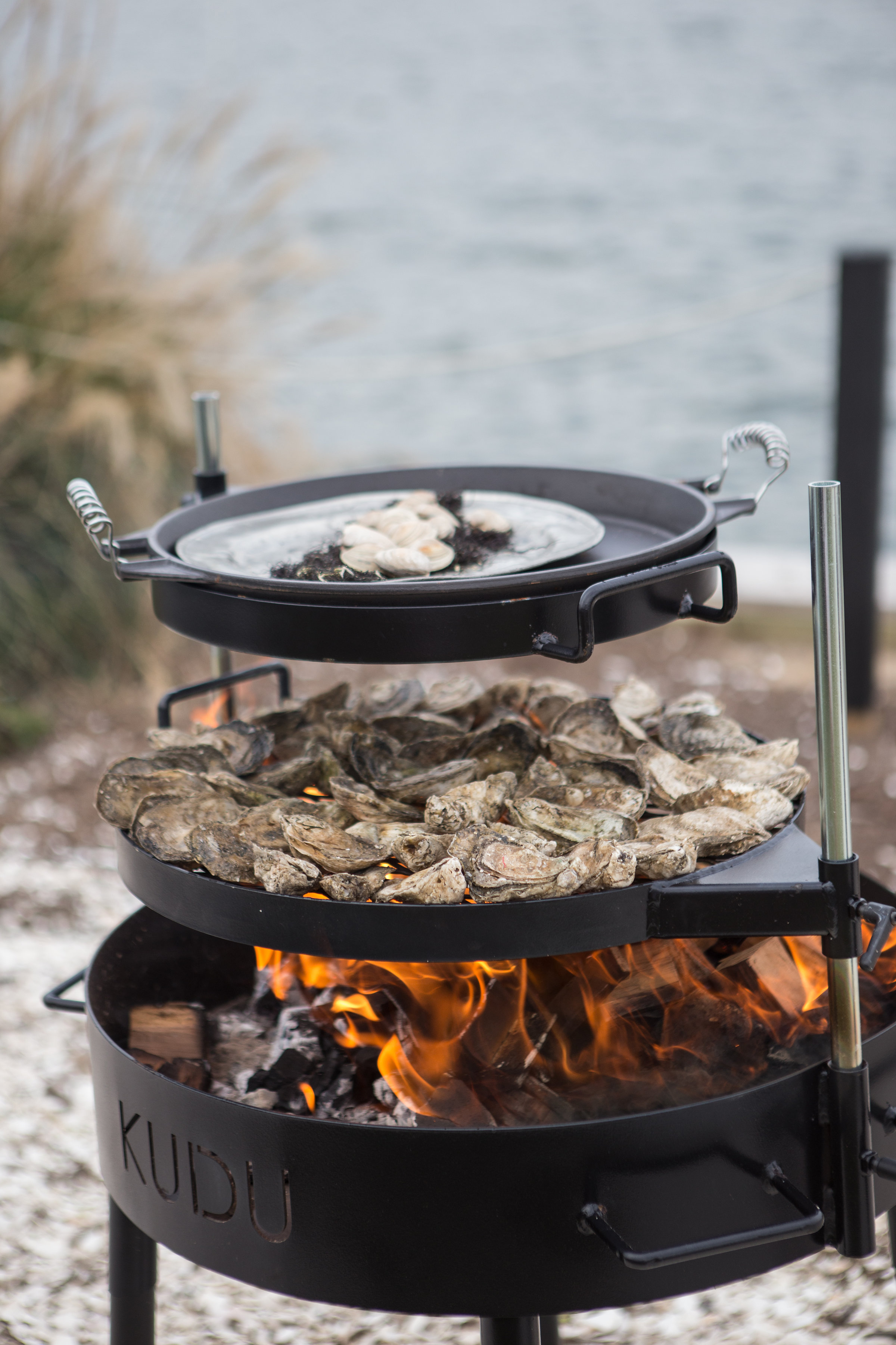 edible_oyster-86.jpg