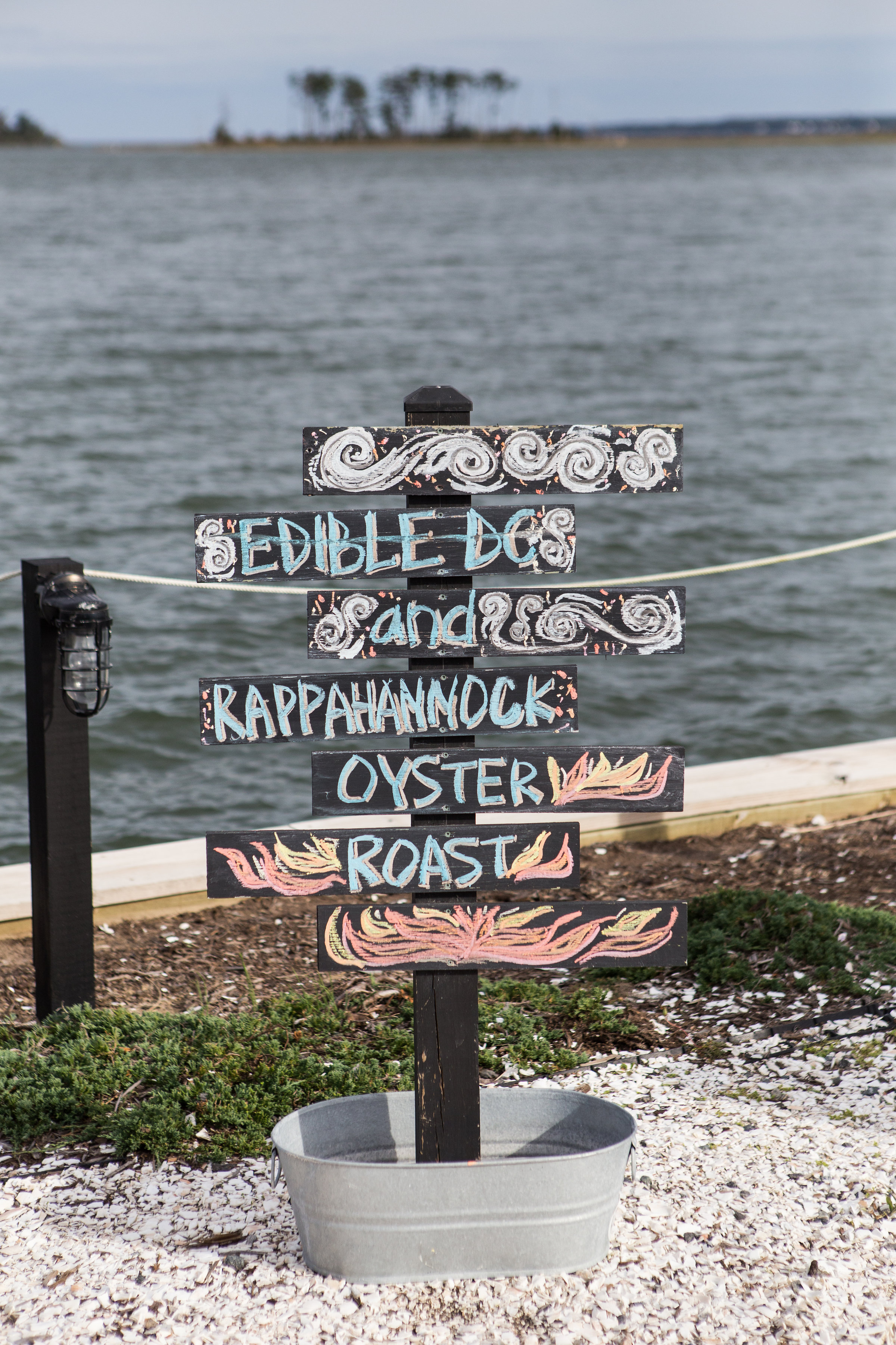 edible_oyster-74.jpg