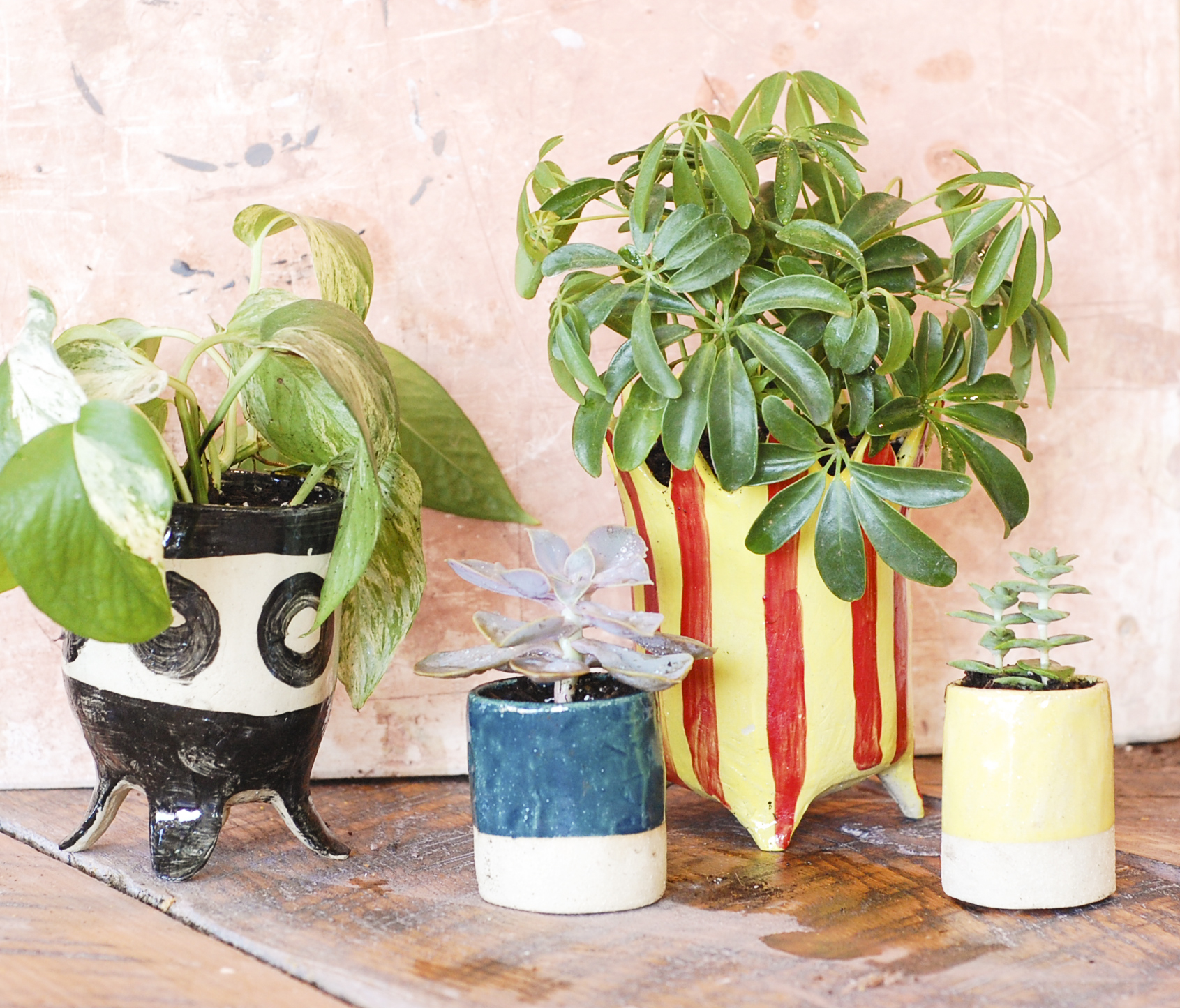 ceramicplanter.jpeg