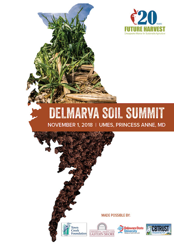 delmarva soil.jpg