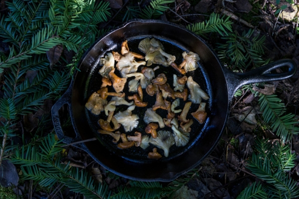 Wild mushrooms add flavor and depth to a traditional sage-centric stuffing.