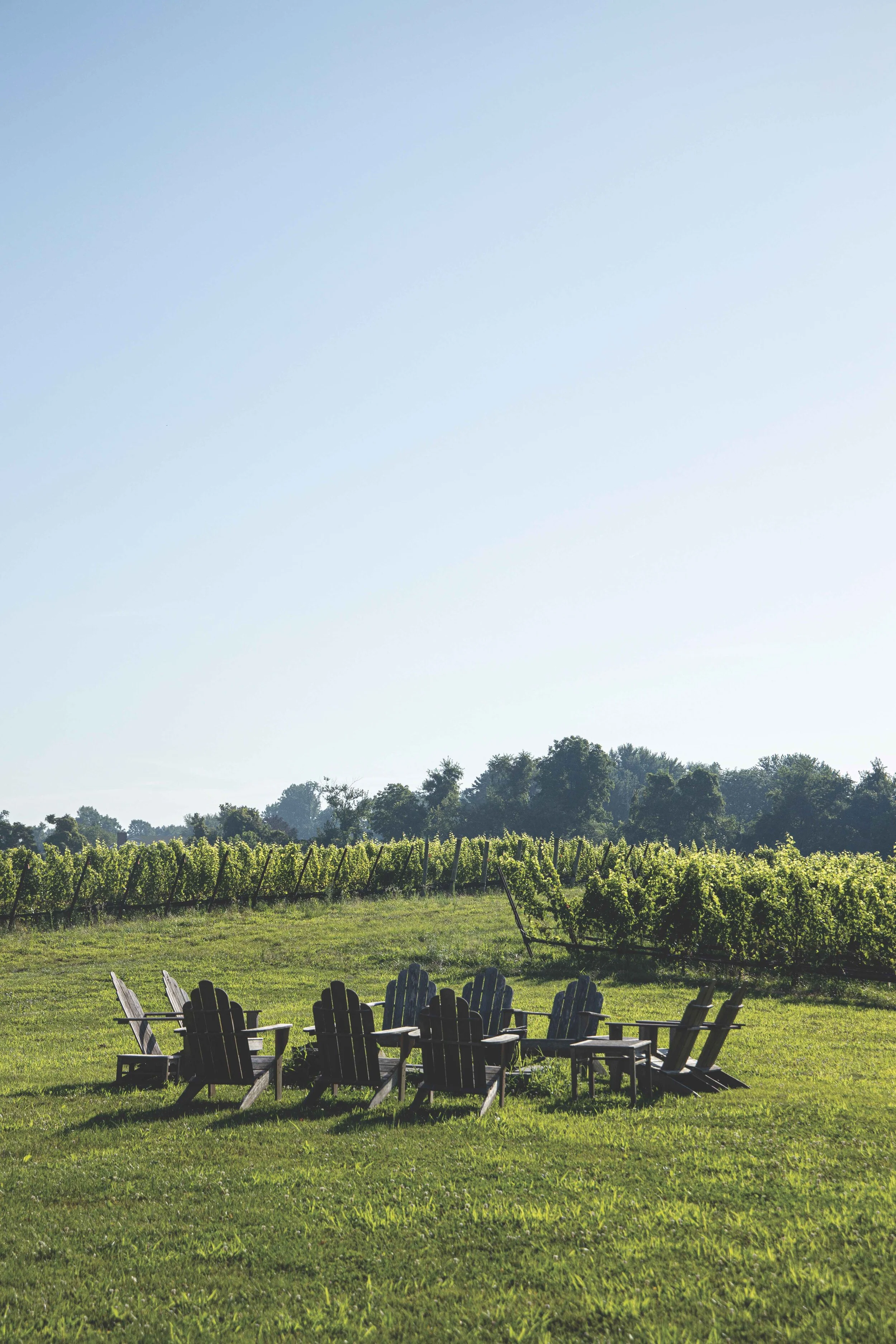 wine chairs_annapolis_jenniferchase-125.jpg
