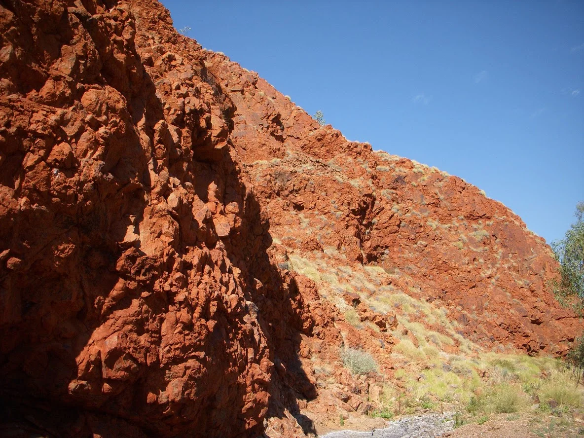 DSCN1029.JPG