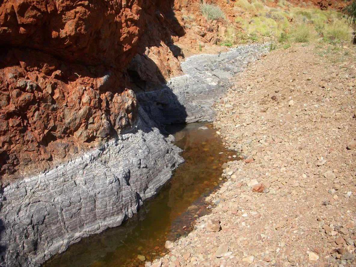 DSCN1030.JPG