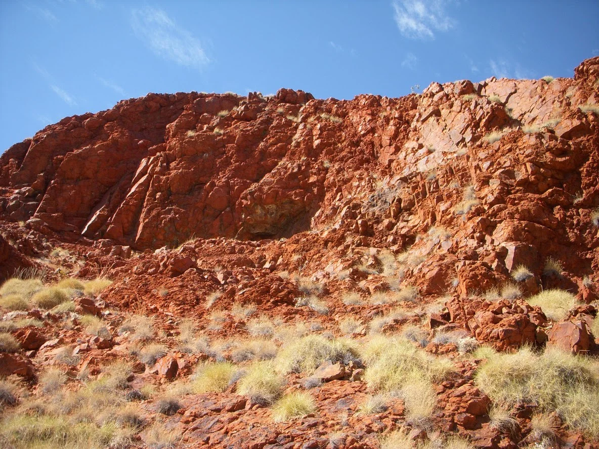 DSCN1031.JPG