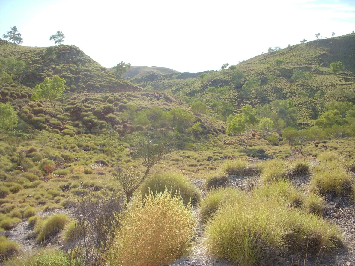 DSCN1003.JPG