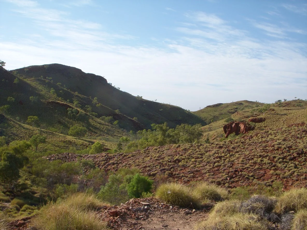 DSCN1008.JPG