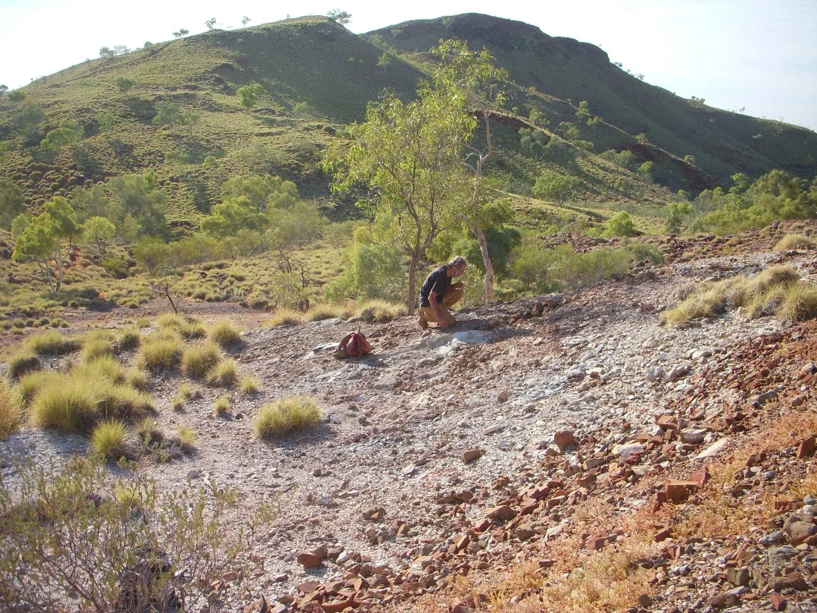 DSCN1007.JPG