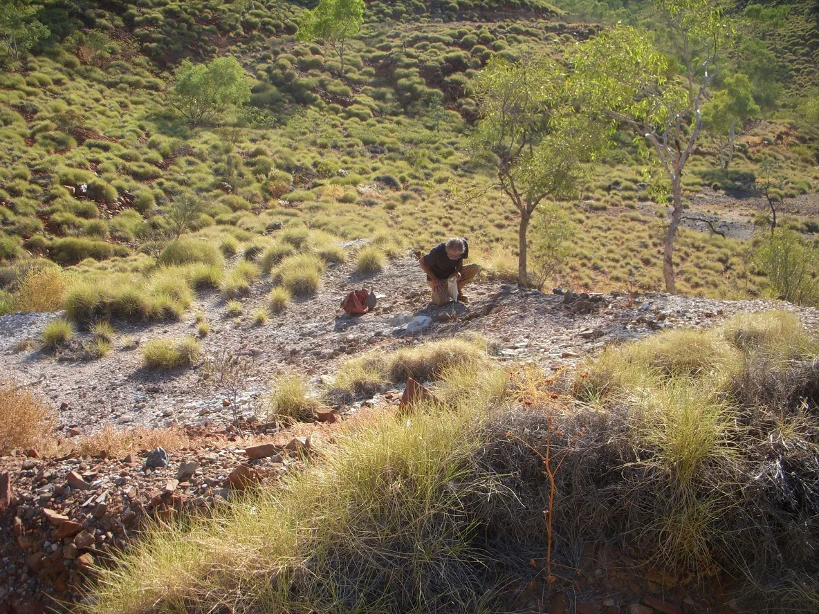 DSCN1009.JPG