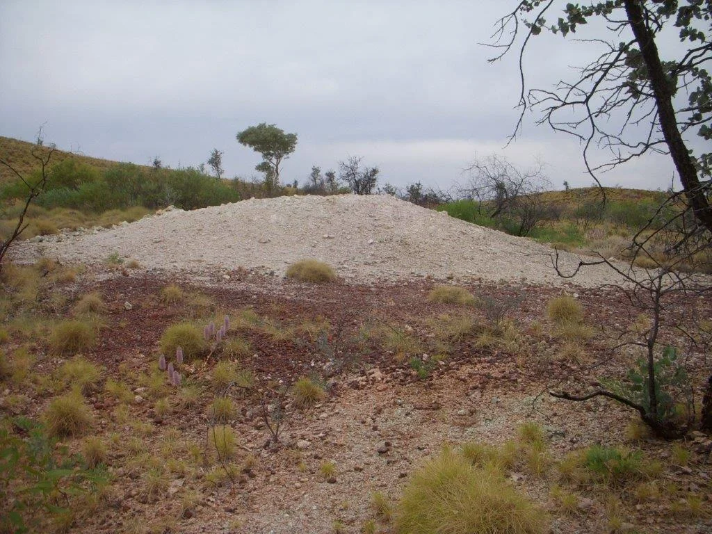 DSCN0947.jpg